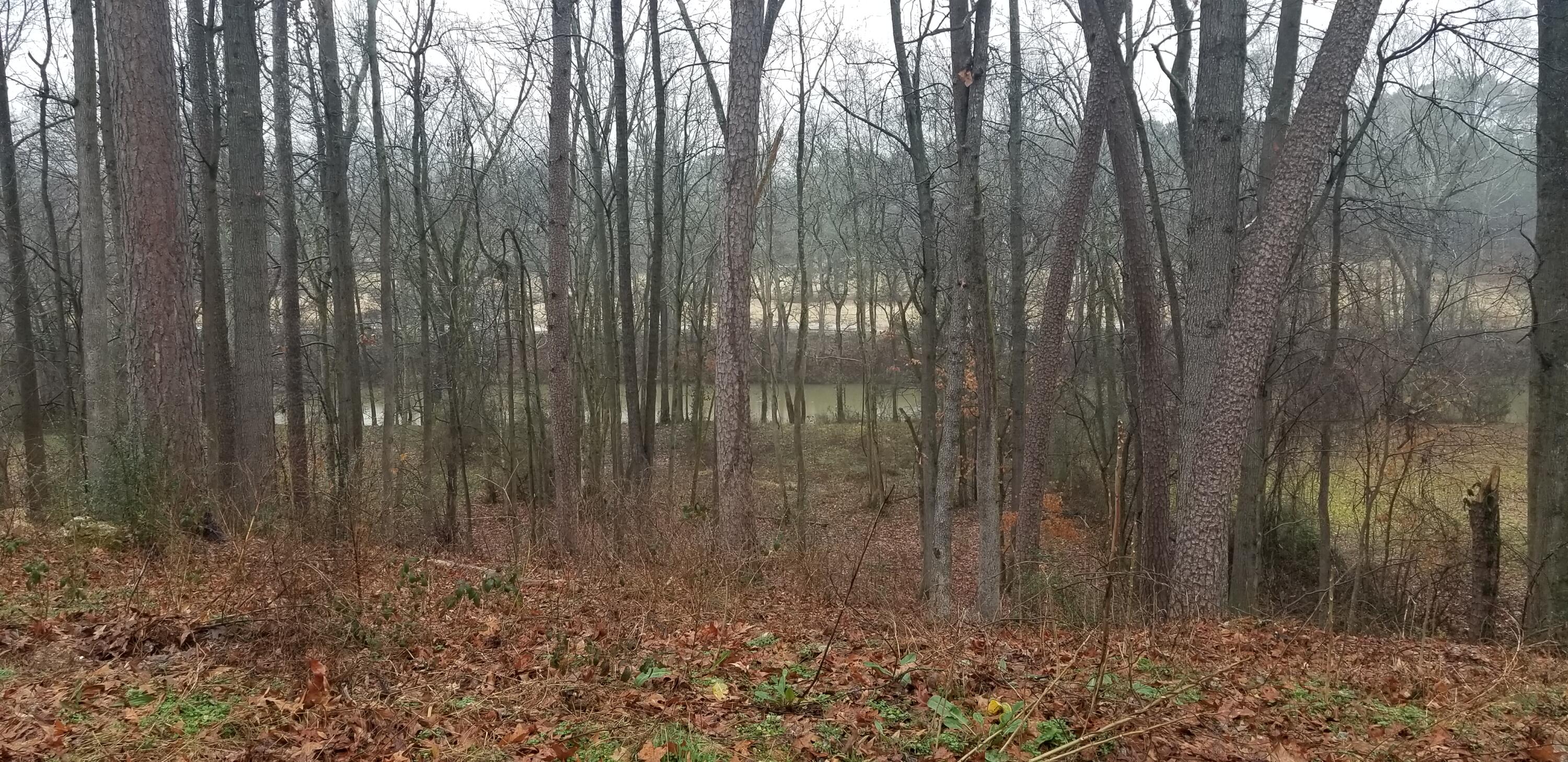 6604 Jordan Run Road Chattanooga, TN 37412 - Photo 1 of 1 20210215_110440