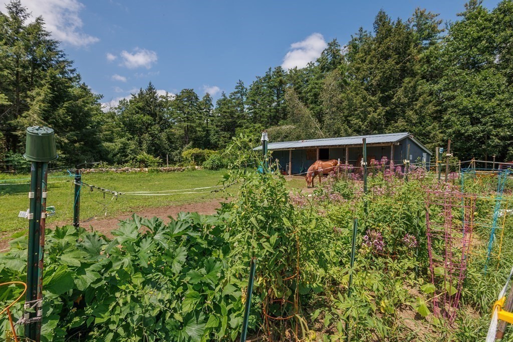 183 Sherbert Road Ashburnham, MA 01430 - Photo 22 of 31