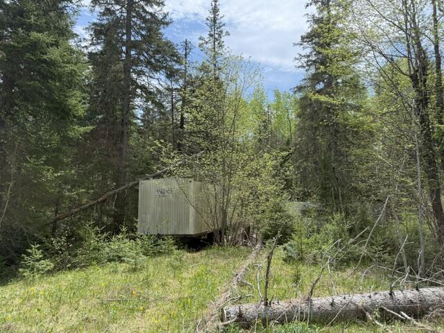 390 Woodland Road Princeton, ME 04668 - Photo 1 of 5 IMG_0099 (1)