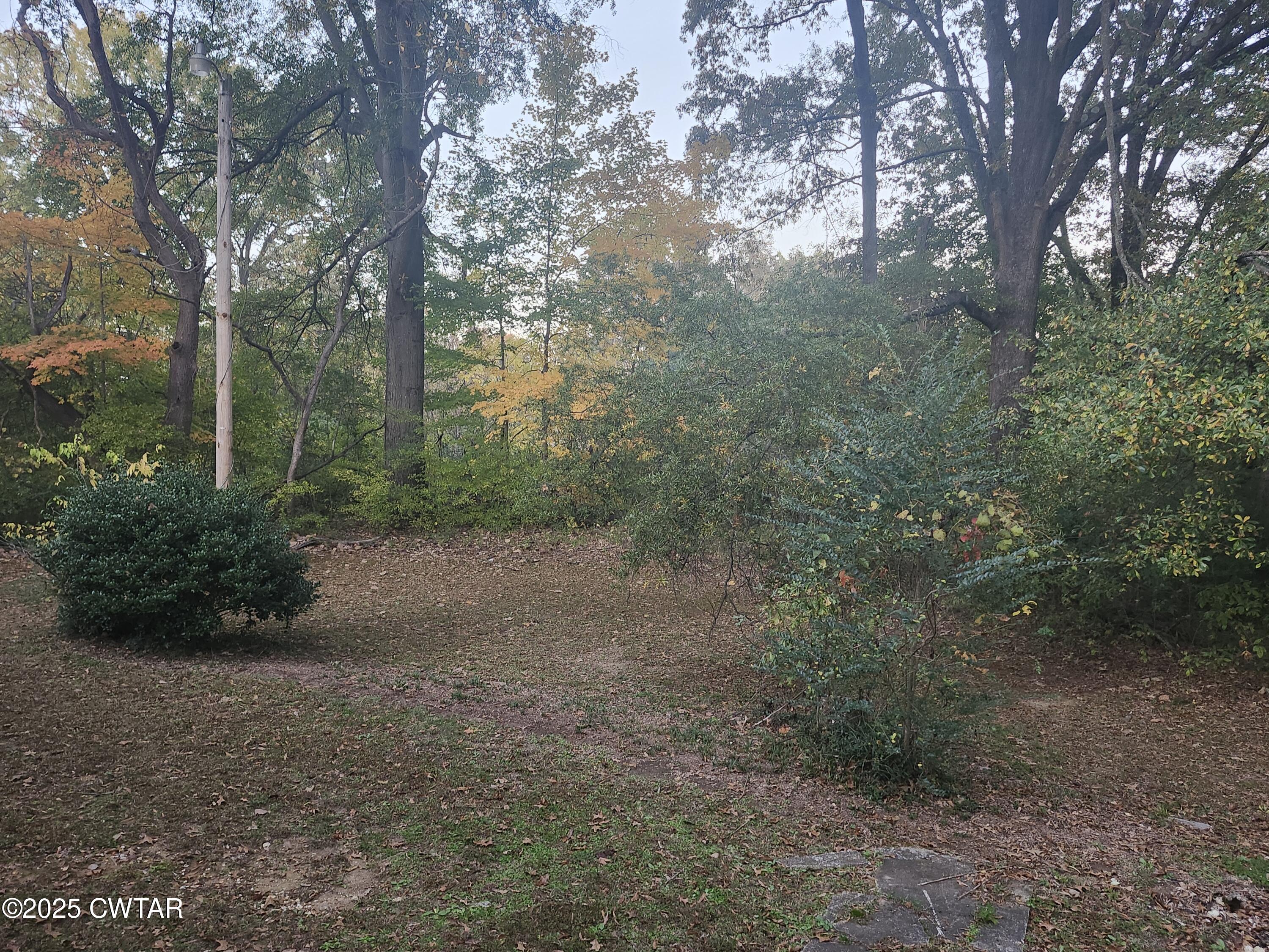 705 George Street Trenton, TN 38382 - Photo 3 of 15 a view of a forest with trees in the background