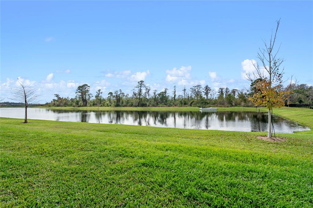 9818 Introduction Way Orlando, FL 32832 - Photo 36 of 58 Gallery Image 36