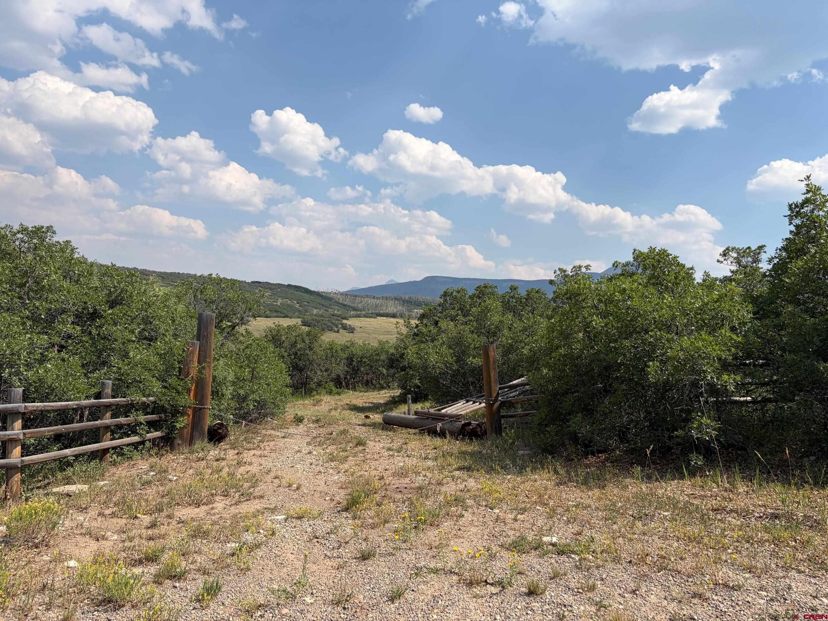 Lot G M44 Road Placerville, CO 81430 - Photo 7 of 16 Gallery Image 7