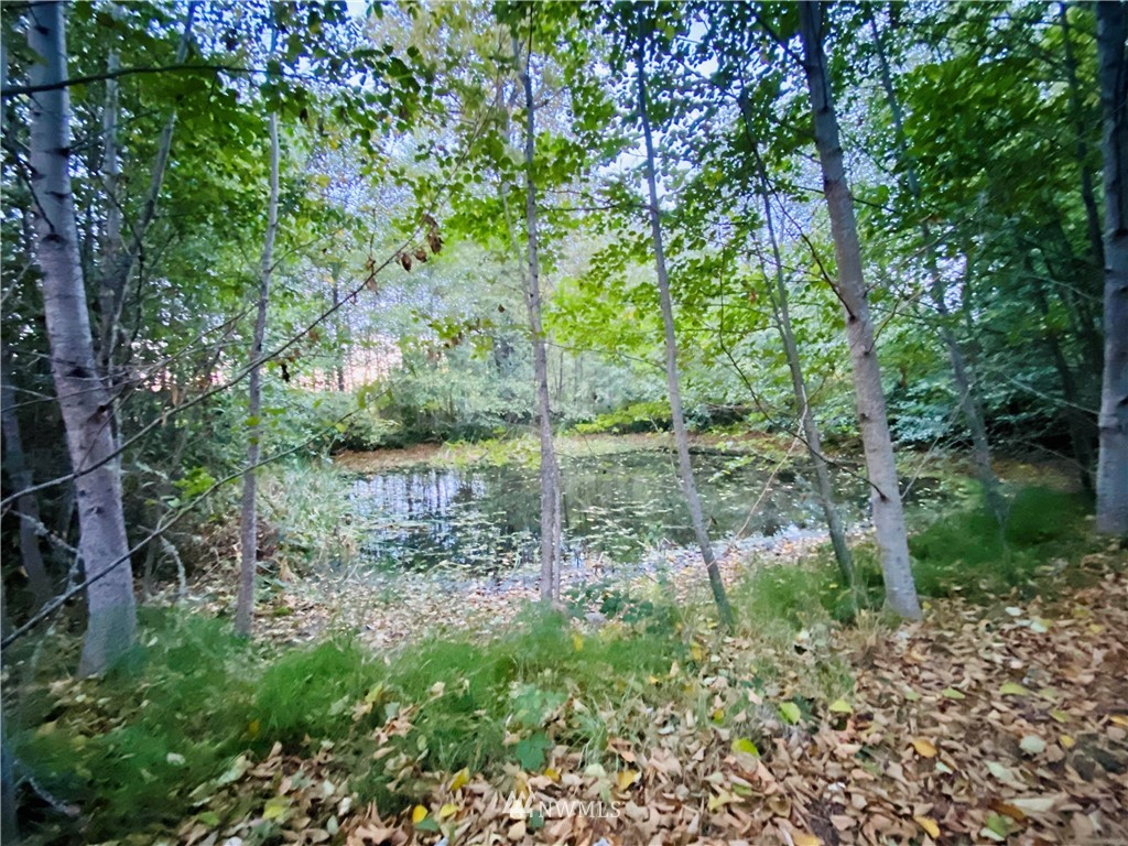 0 Gardiner Beach Road Sequim, WA 98382 - Photo 11 of 21 Gallery Image 11