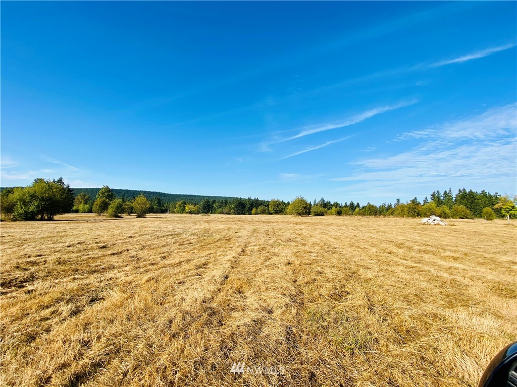 0 Gardiner Beach Road Sequim, WA 98382 - Photo 14 of 21 Gallery Image 14