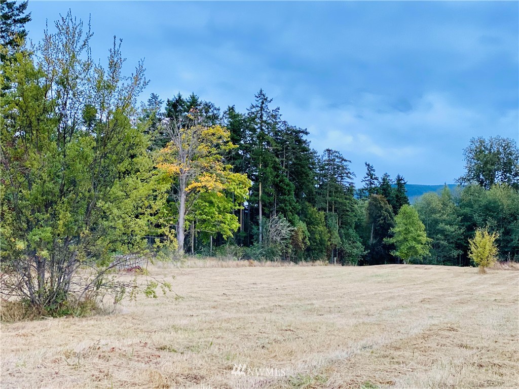 0 Gardiner Beach Road Sequim, WA 98382 - Photo 15 of 21 Gallery Image 15
