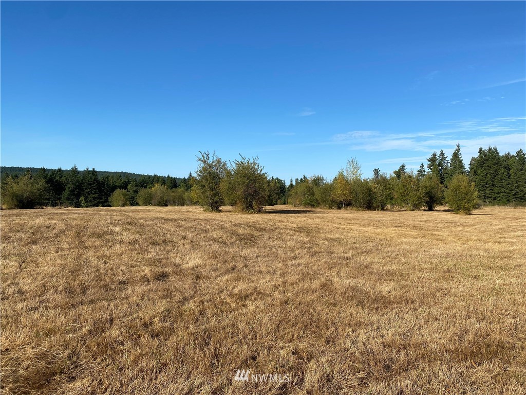 0 Gardiner Beach Road Sequim, WA 98382 - Photo 18 of 21 Gallery Image 18