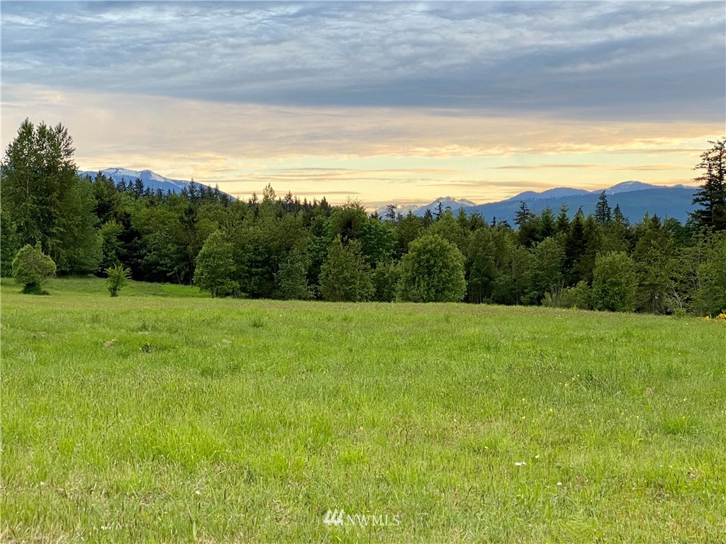 0 Gardiner Beach Road Sequim, WA 98382 - Photo 20 of 21 Gallery Image 20