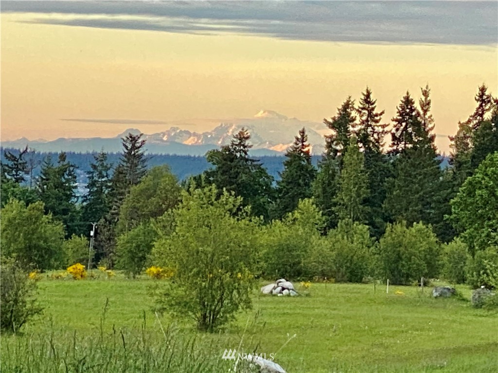 0 Gardiner Beach Road Sequim, WA 98382 - Photo 3 of 21 Gallery Image 3