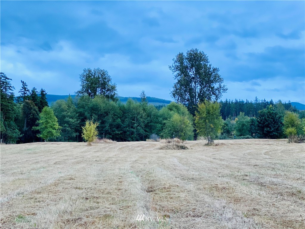 0 Gardiner Beach Road Sequim, WA 98382 - Photo 21 of 21 Gallery Image 21