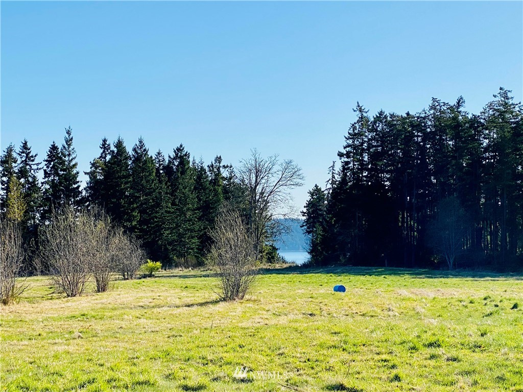 0 Gardiner Beach Road Sequim, WA 98382 - Photo 5 of 21 Gallery Image 5