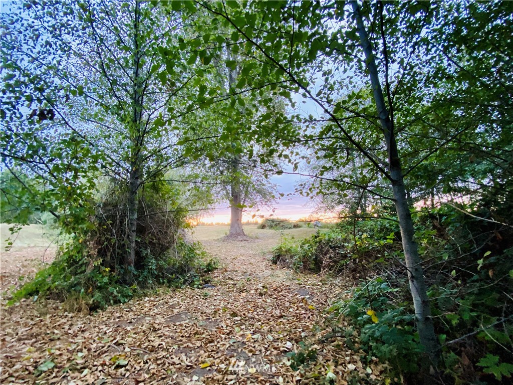 0 Gardiner Beach Road Sequim, WA 98382 - Photo 9 of 21 Gallery Image 9