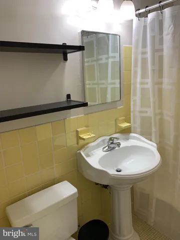 a bathroom with a sink and a toilet