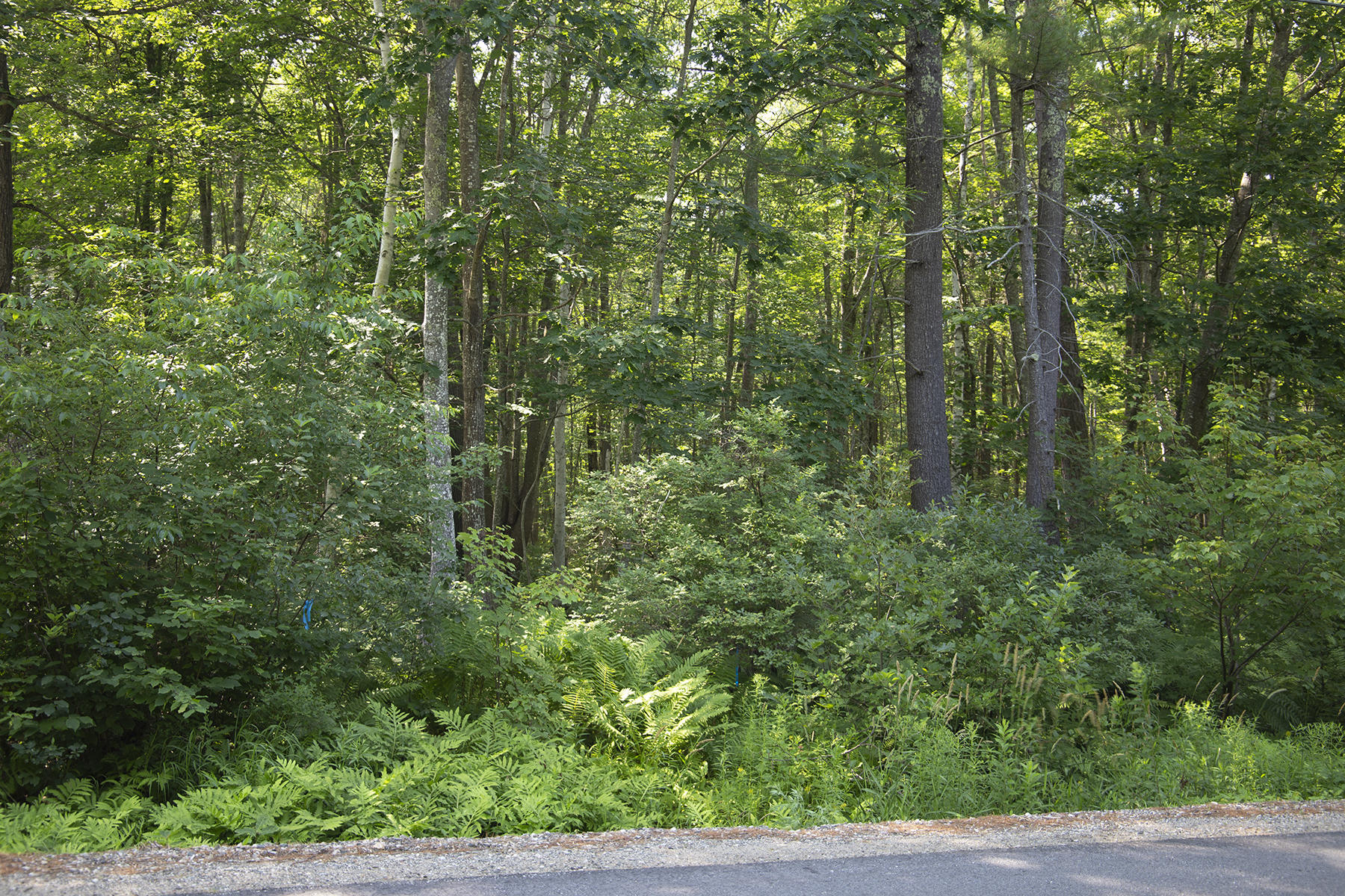 Lot 4 Loop Rd Wells Wells, ME 04090 - Photo 2 of 3 Lot 4