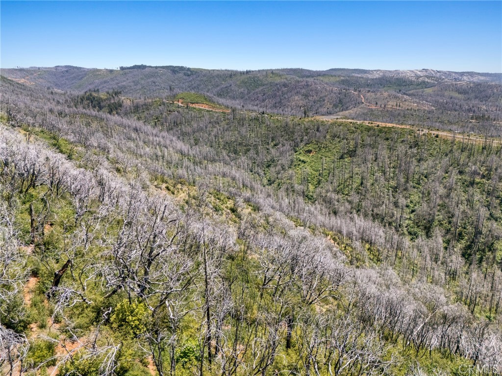 0 Stephens Ridge Road Berry Creek, CA 95916 - Photo 8 of 8
