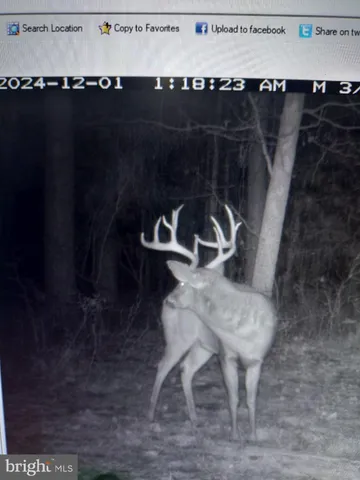 $385,000 | Lot2 A Cardinal Drive, Salisbury, MD 21804