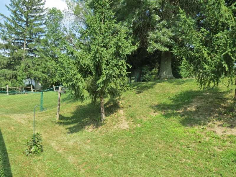 269 Thompsonville Road Canonsburg, PA 15317 - Photo 17 of 19 Yard/Garden.