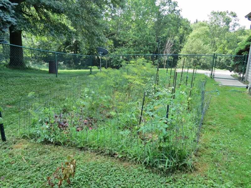269 Thompsonville Road Canonsburg, PA 15317 - Photo 18 of 19 Yard/Garden.