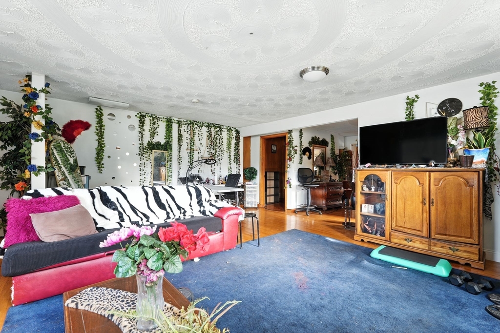 222-224 Main Street Springfield, MA 01151 - Photo 12 of 42 a living room with furniture and a flat screen tv