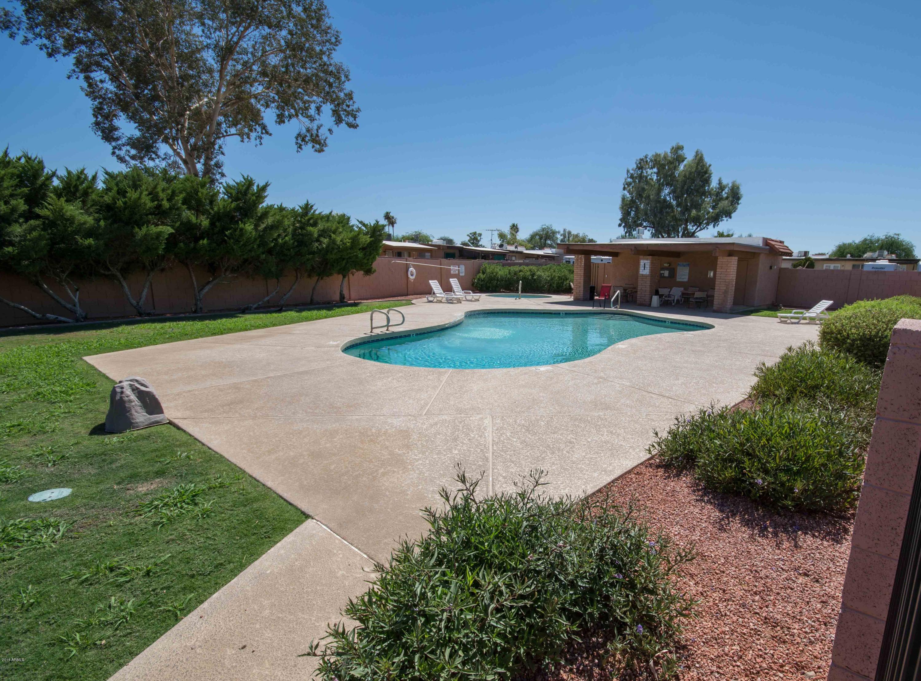 810 West Rice Drive Tempe, AZ 85283 - Photo 12 of 12 Community pool
