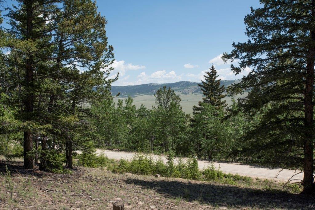 Lot 498 Redhill Road Fairplay, CO 80440 - Photo 1 of 25 Gallery Image 1