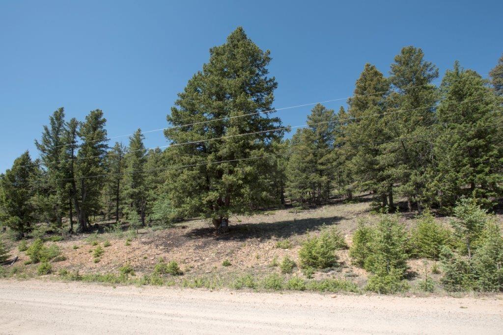 Lot 498 Redhill Road Fairplay, CO 80440 - Photo 2 of 25 Gallery Image 2