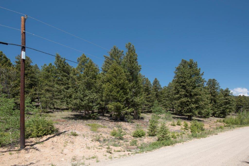 Lot 498 Redhill Road Fairplay, CO 80440 - Photo 11 of 25 Gallery Image 11