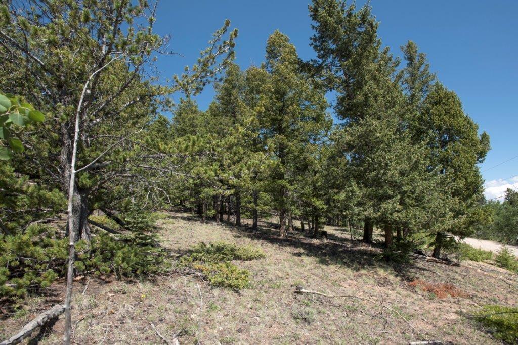 Lot 498 Redhill Road Fairplay, CO 80440 - Photo 12 of 25 Gallery Image 12