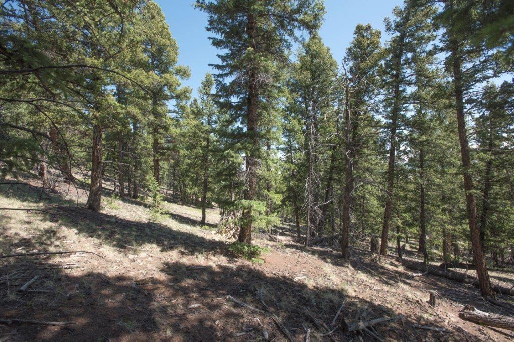 Lot 498 Redhill Road Fairplay, CO 80440 - Photo 13 of 25 Gallery Image 13