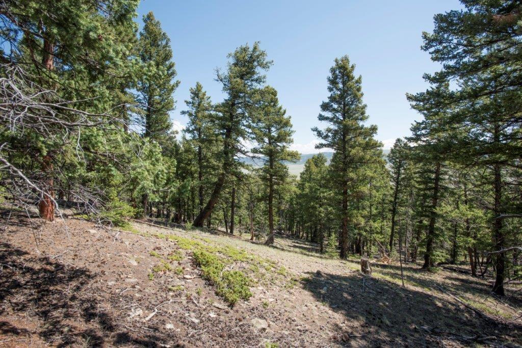 Lot 498 Redhill Road Fairplay, CO 80440 - Photo 14 of 25 Gallery Image 14