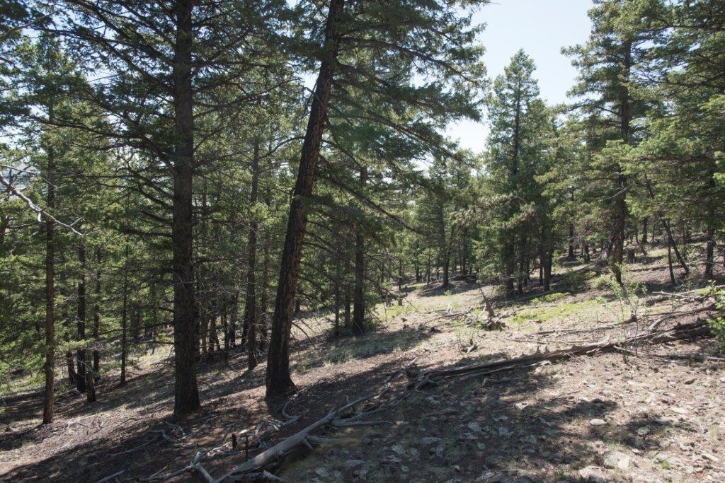 Lot 498 Redhill Road Fairplay, CO 80440 - Photo 18 of 25 Gallery Image 18