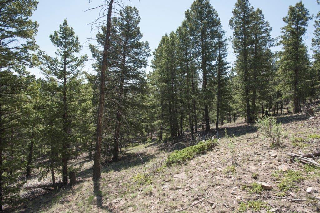 Lot 498 Redhill Road Fairplay, CO 80440 - Photo 20 of 25 Gallery Image 20