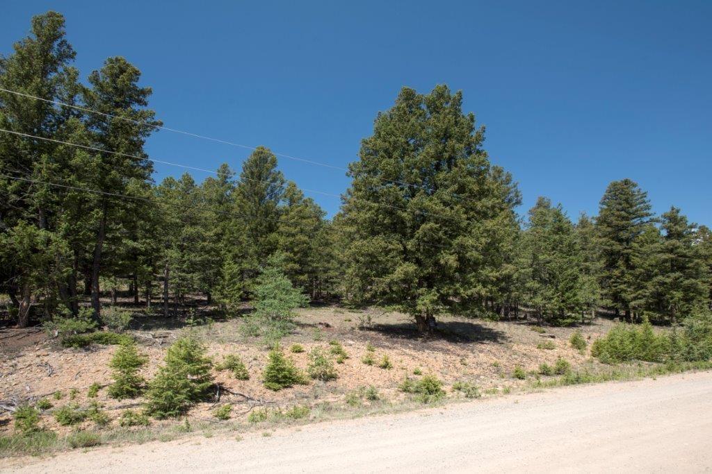 Lot 498 Redhill Road Fairplay, CO 80440 - Photo 3 of 25 Gallery Image 3