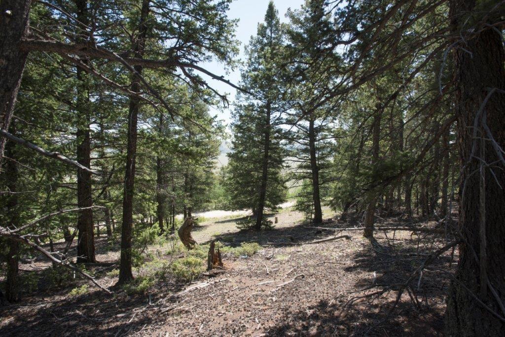 Lot 498 Redhill Road Fairplay, CO 80440 - Photo 22 of 25 Gallery Image 22