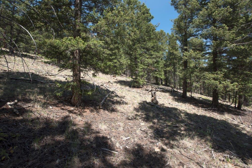 Lot 498 Redhill Road Fairplay, CO 80440 - Photo 24 of 25 Gallery Image 24