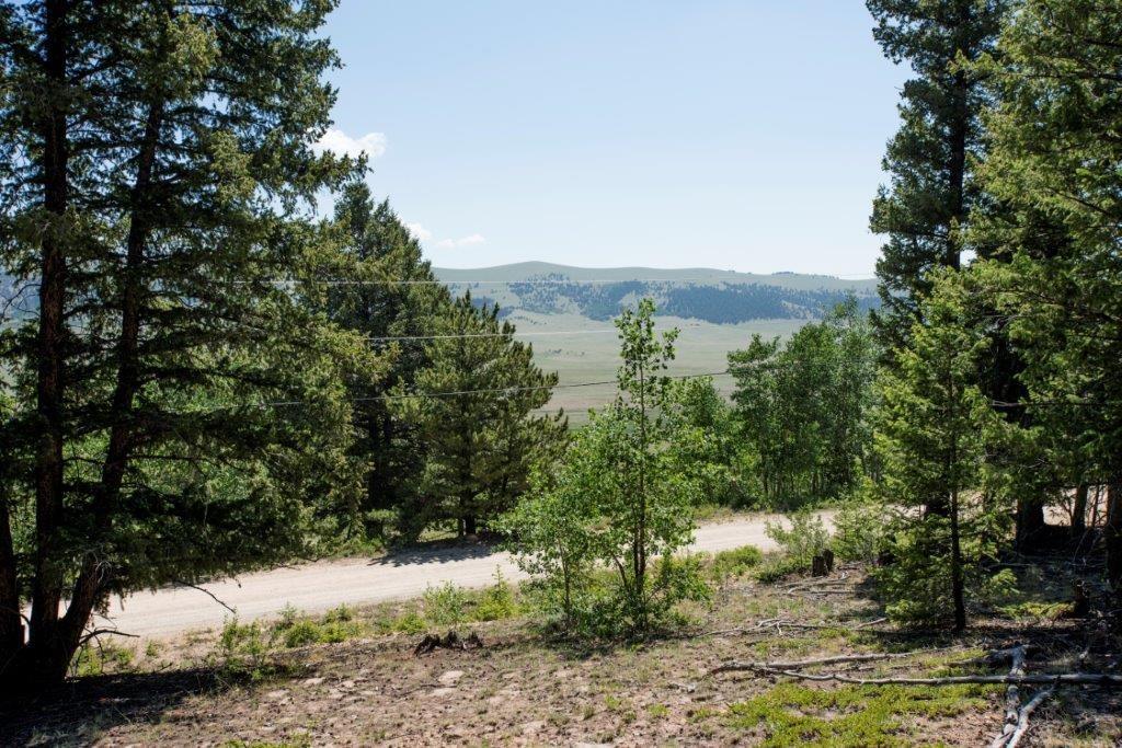 Lot 498 Redhill Road Fairplay, CO 80440 - Photo 4 of 25 Gallery Image 4