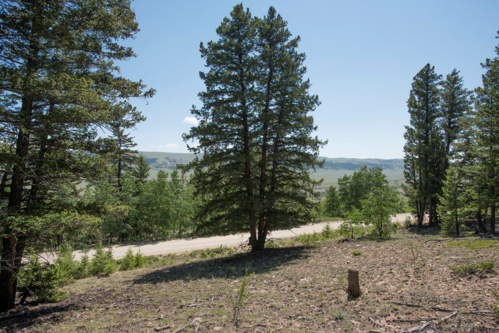 Lot 498 Redhill Road Fairplay, CO 80440 - Photo 5 of 25 Gallery Image 5