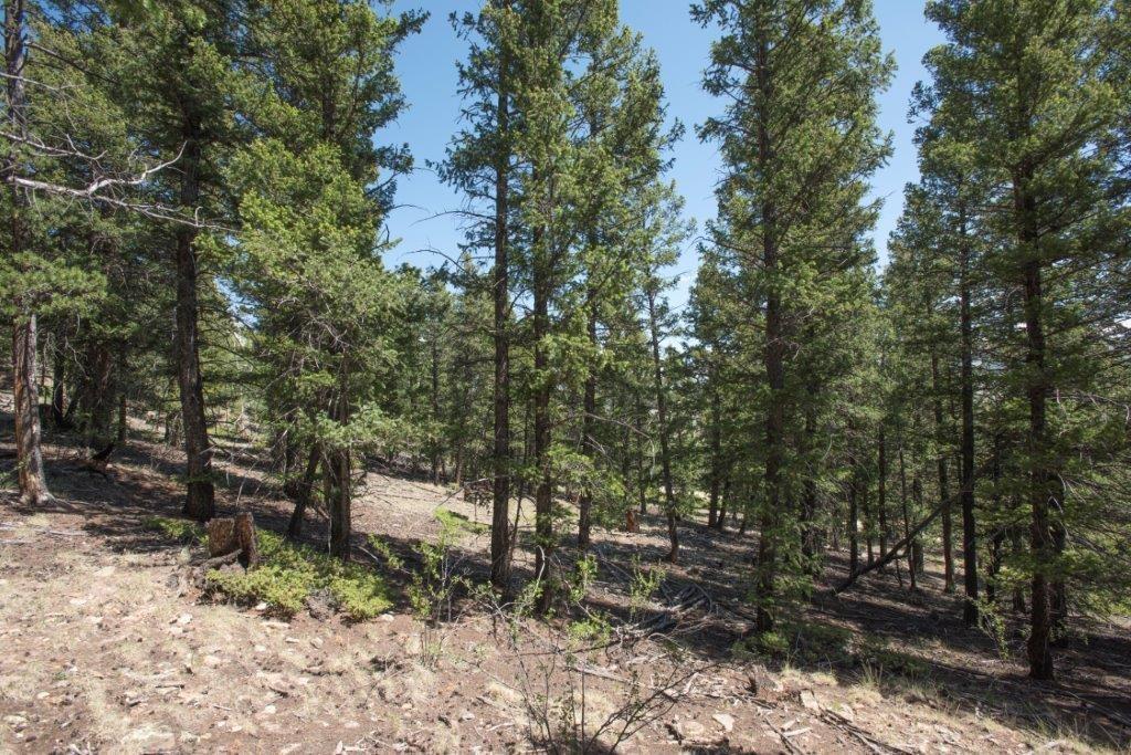 Lot 498 Redhill Road Fairplay, CO 80440 - Photo 6 of 25 Gallery Image 6