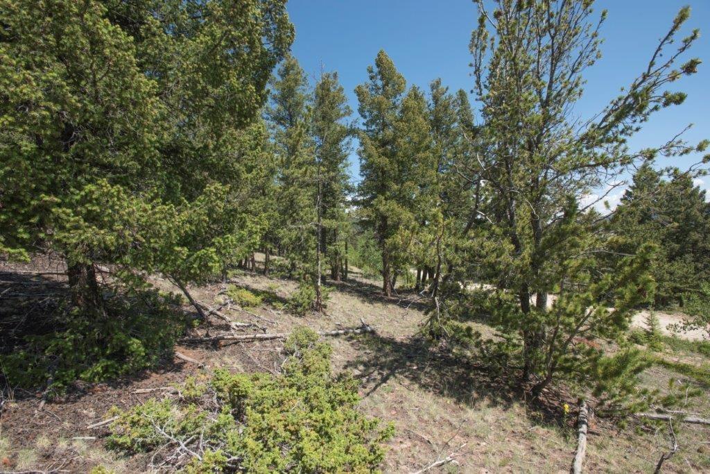 Lot 498 Redhill Road Fairplay, CO 80440 - Photo 7 of 25 Gallery Image 7
