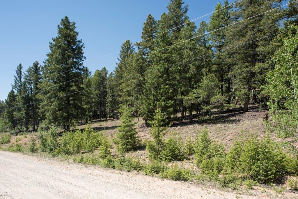Lot 498 Redhill Road Fairplay, CO 80440 - Photo 8 of 25 Gallery Image 8