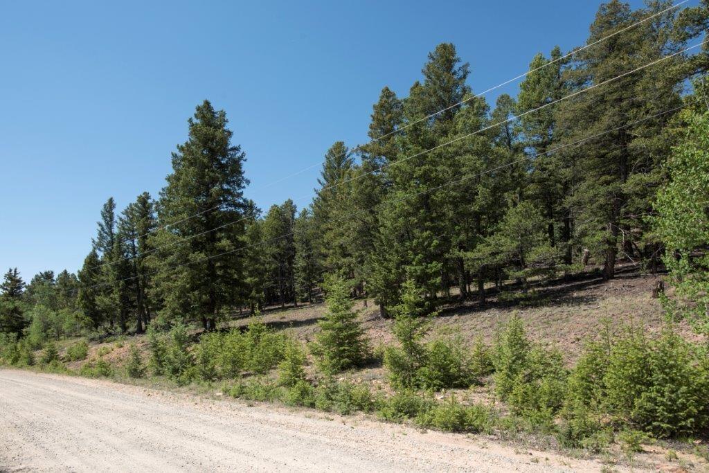 Lot 498 Redhill Road Fairplay, CO 80440 - Photo 9 of 25 Gallery Image 9