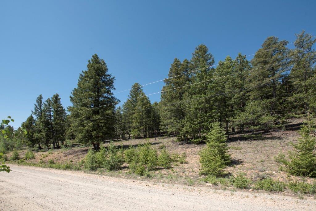 Lot 498 Redhill Road Fairplay, CO 80440 - Photo 10 of 25 Gallery Image 10