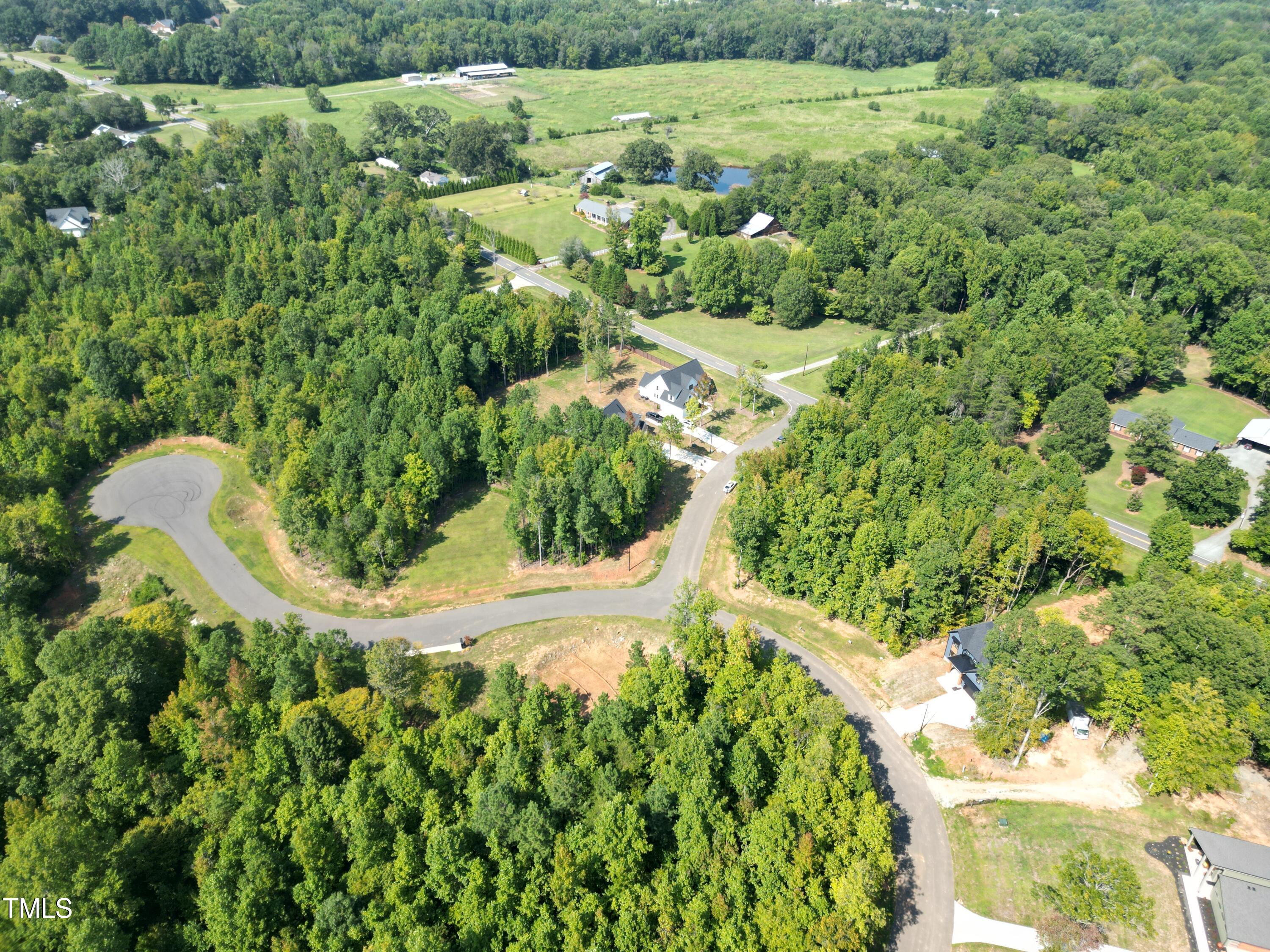0 South Jim Minor Road Haw River, NC 27258 - Photo 2 of 4 a view of a yard with plants and large trees