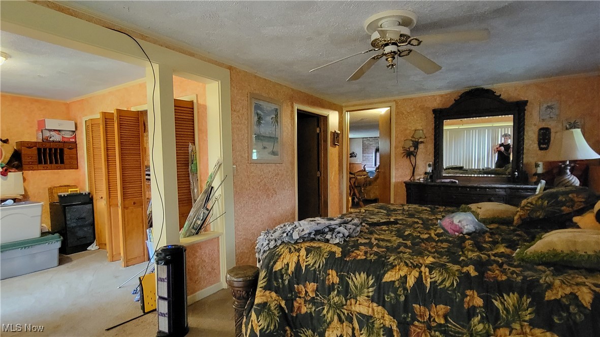 4133 Beat Road Litchfield, OH 44253 - Photo 18 of 25 Carpeted bedroom featuring ceiling fan and a textured ceiling
