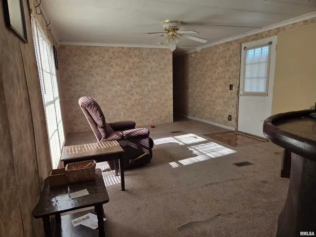 $29,900 | 25637 Highway 3, Olive Branch, IL 62969