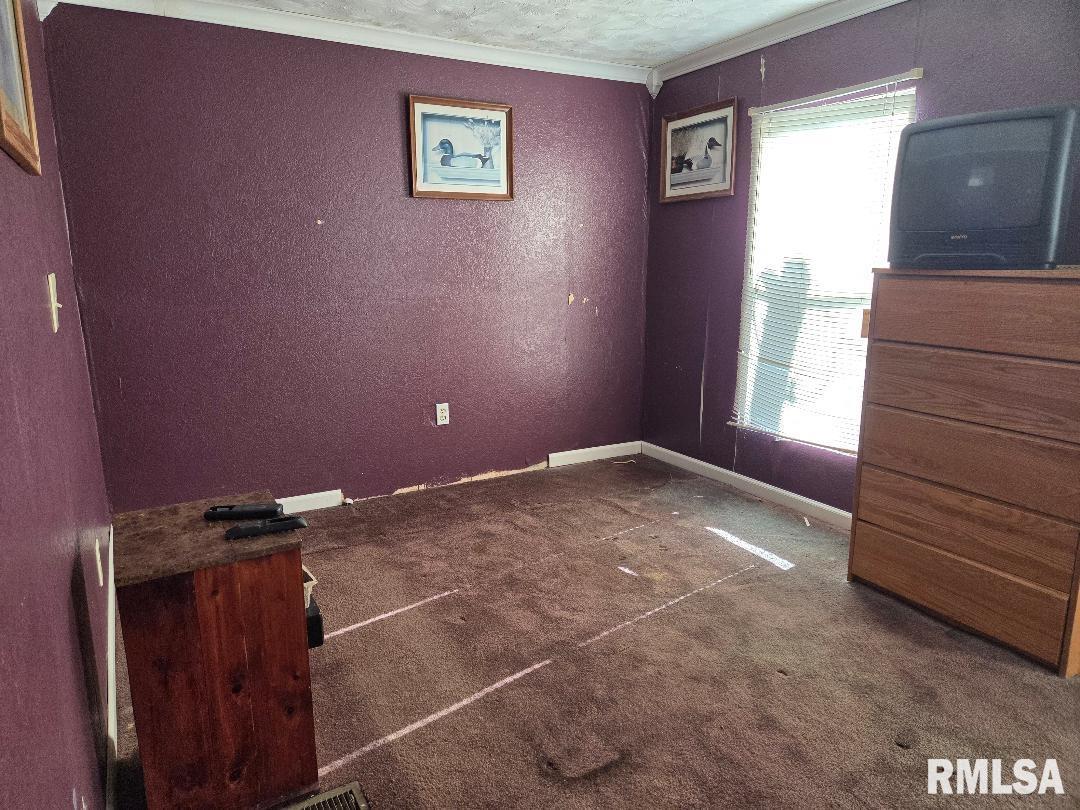 25637 Highway 3 Olive Branch, IL 62969 - Photo 7 of 12