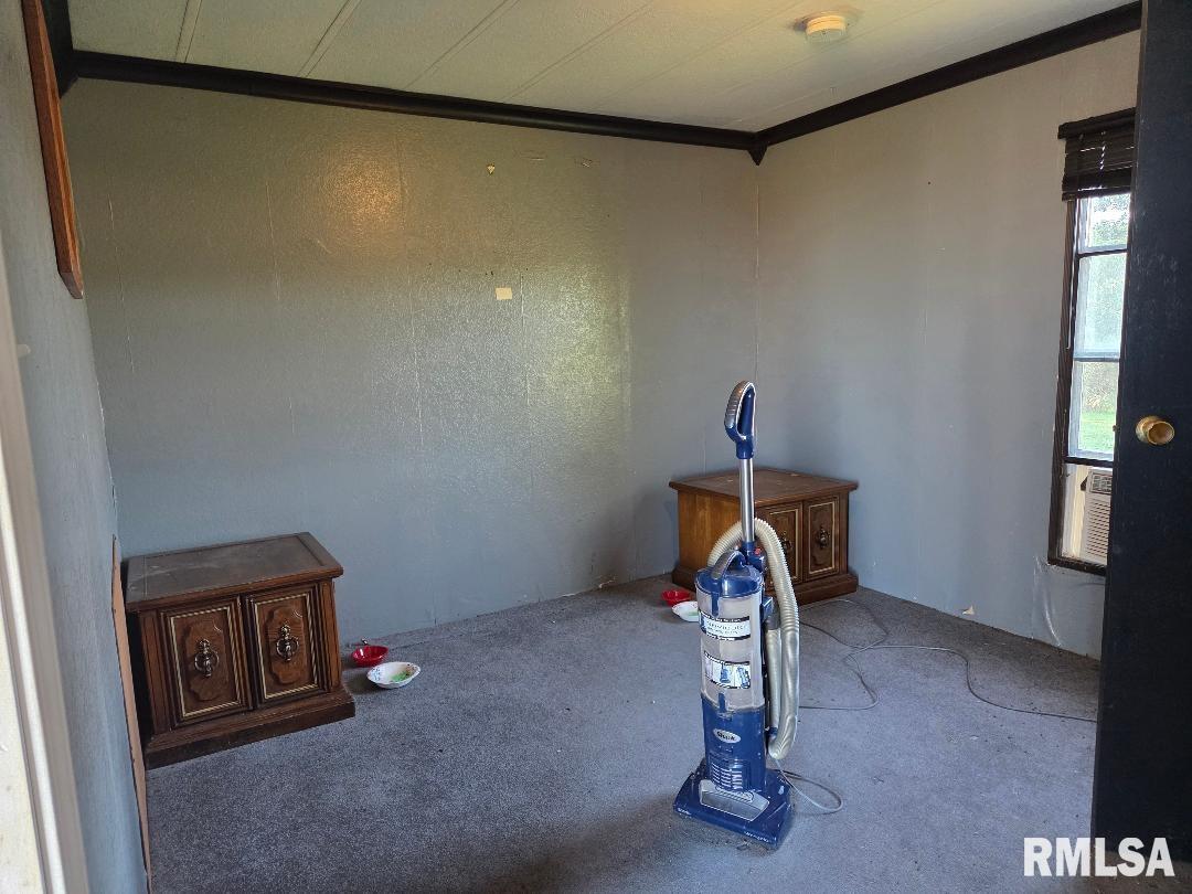 25637 Highway 3 Olive Branch, IL 62969 - Photo 10 of 12