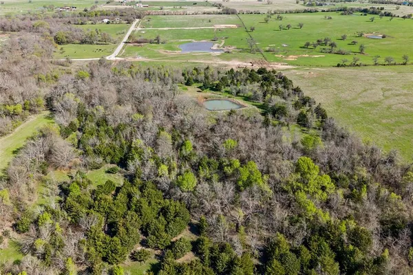a view of a big yard with lots of green space