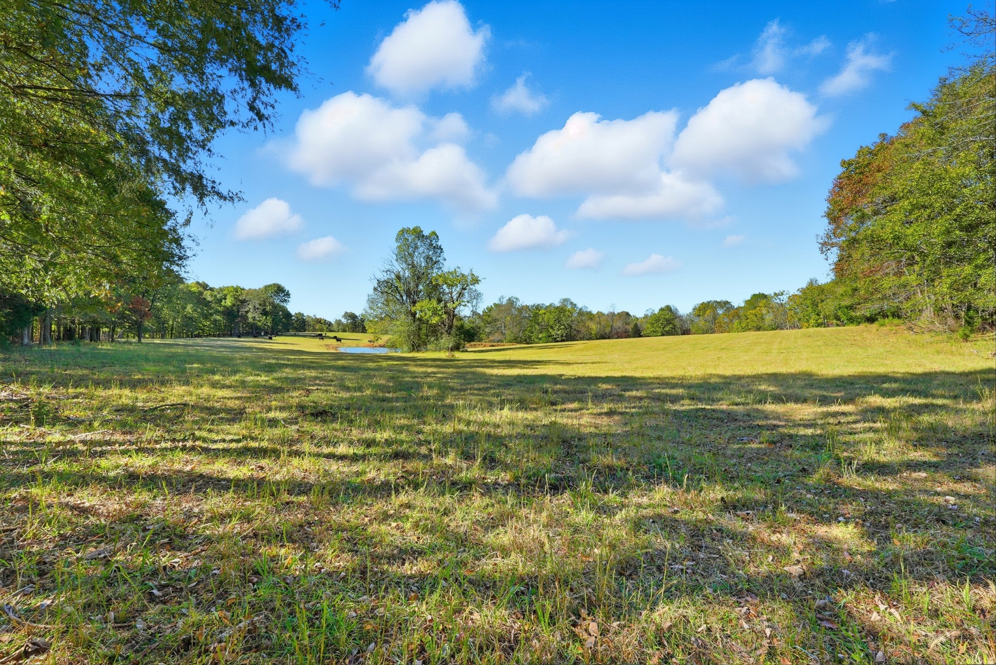 180 Tatum Road Pulaski, TN 38478 - Photo 30 of 61 a view of an ocean and a houses