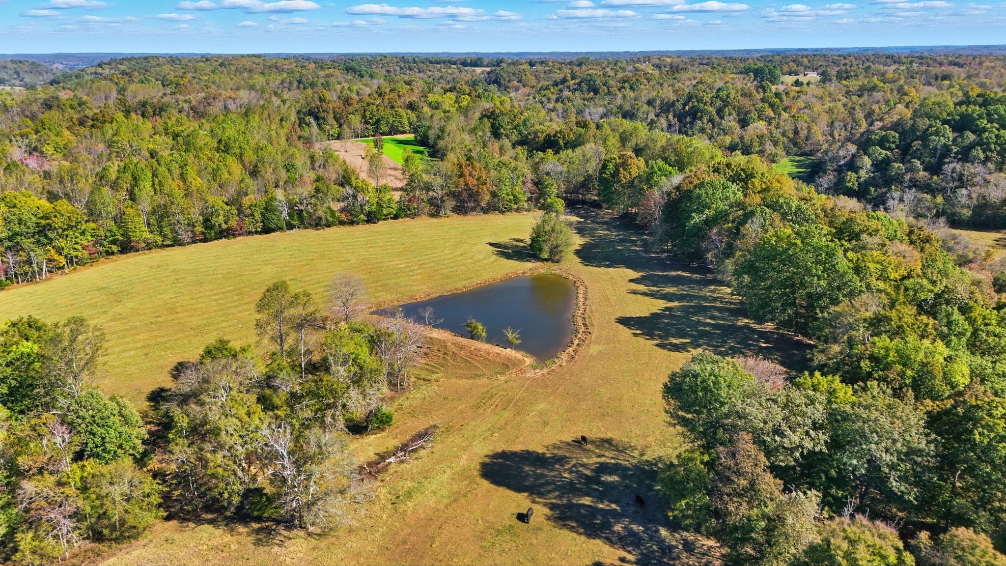 180 Tatum Road Pulaski, TN 38478 - Photo 47 of 61 a view of lake view and mountain view