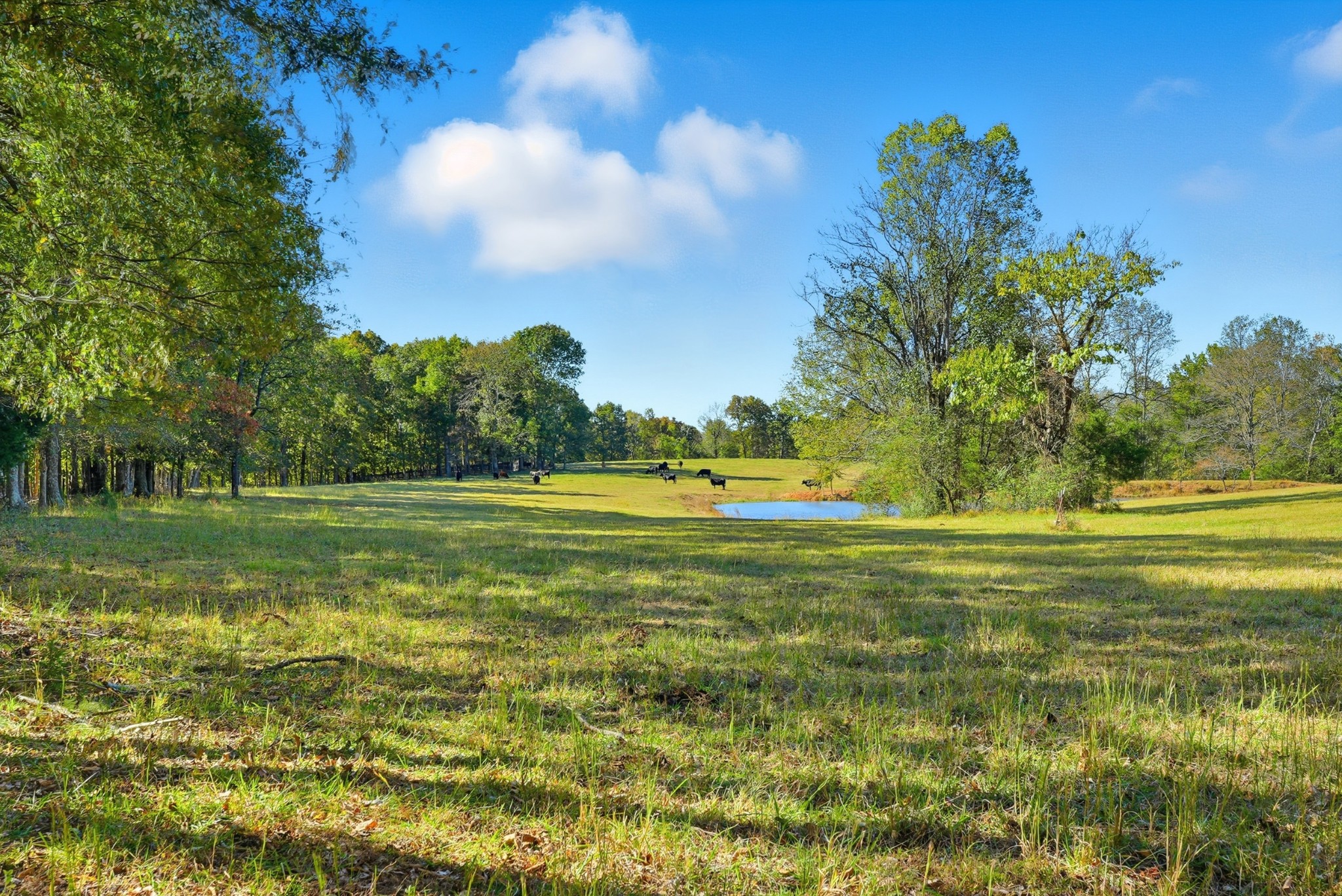 180 Tatum Road Pulaski, TN 38478 - Photo 8 of 61 a view of a golf course with a lake